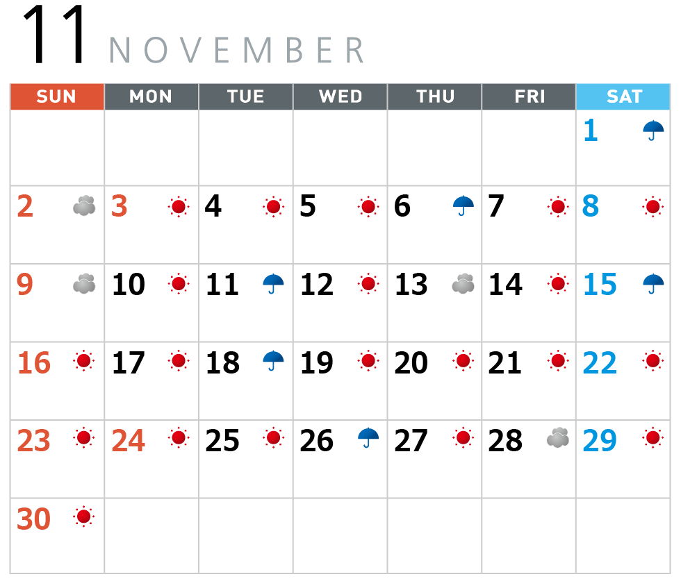 11月